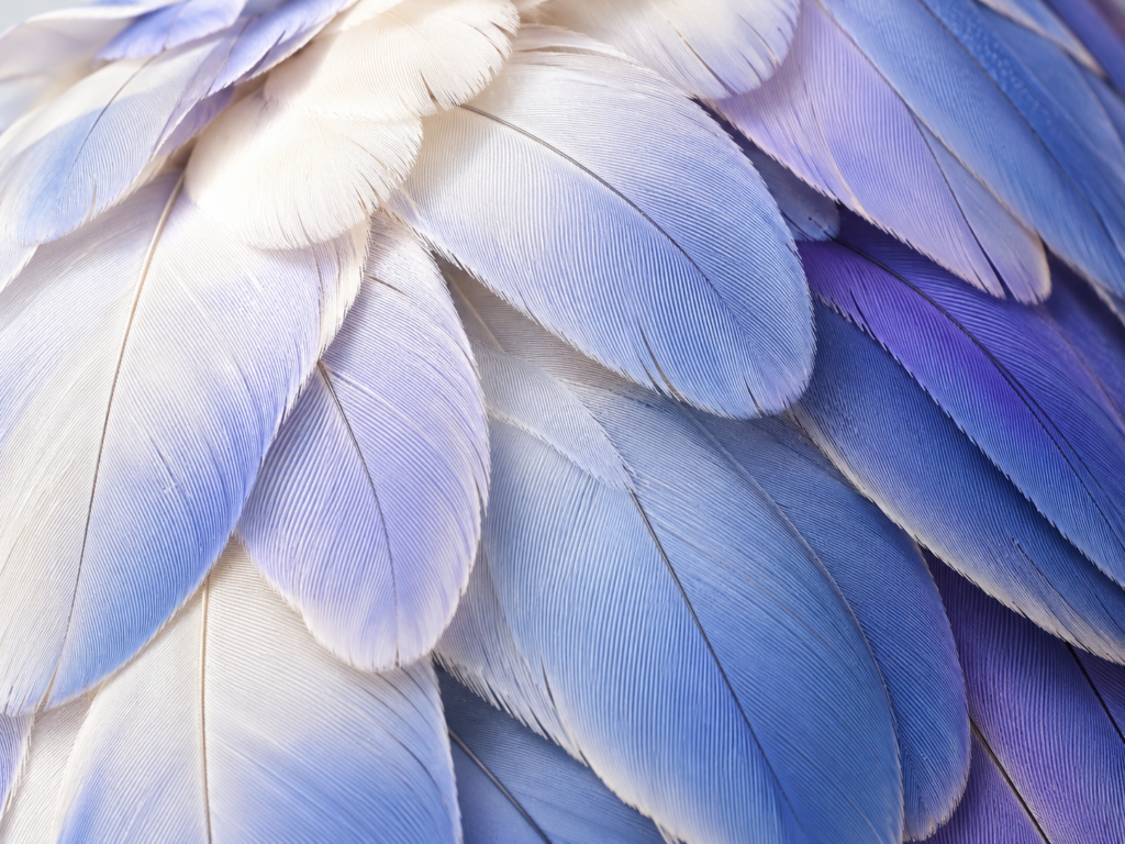 The stochastic parrot has developed an anatomy